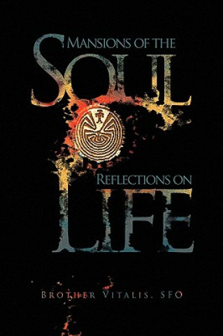 Buch Mansions of the Soul Reflections on Life Brother Sfo Vitalis