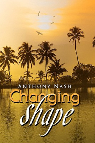 Kniha Changing Shape Anthony Nash
