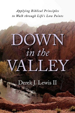 Kniha Down in the Valley Derek J II Lewis