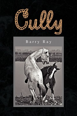 Könyv Cully Barry Ray