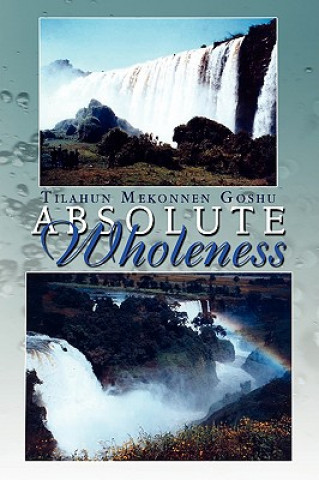 Könyv Absolute Wholeness Tilahun Mekonnen Goshu