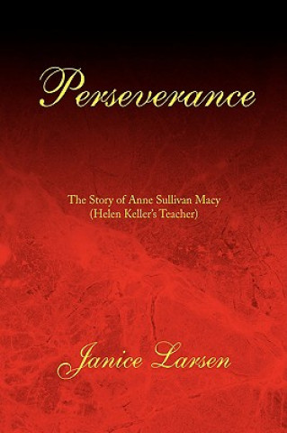 Könyv Perseverance Janice Larsen