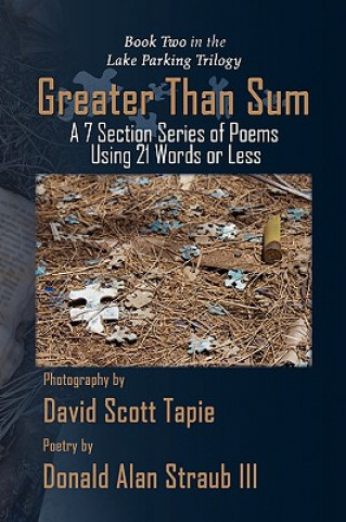 Livre Greater Than Sum Donald Alan III Straub