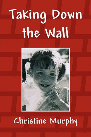Könyv Taking Down the Wall Christine Murphy