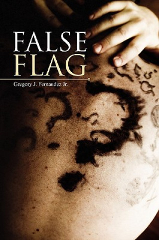 Buch False Flag Fernandez