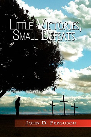 Kniha Little Victories, Small Defeats John D Ferguson