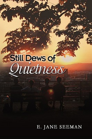 Βιβλίο Still Dews of Quietness E Jane Seeman