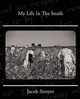 Kniha My Life In The South Jacob Stroyer