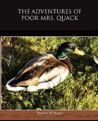 Kniha Adventures of Poor Mrs Quack Thornton W Burgess