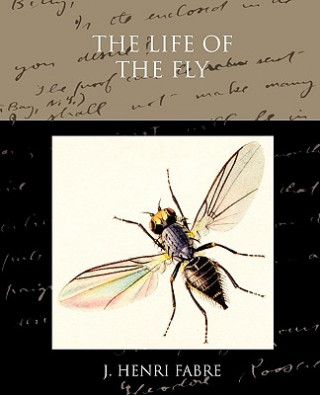 Книга Life of the Fly Jean Henri Fabre