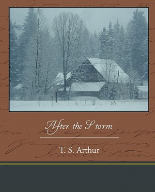 Buch After the Storm T S Arthur