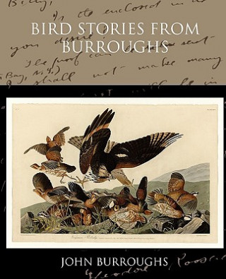 Könyv Bird Stories from Burroughs John Burroughs