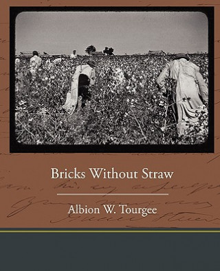 Könyv Bricks Without Straw Albion Winegar Tourgee