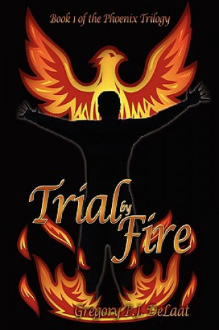 Buch Trial By Fire Gregory P J Delaat