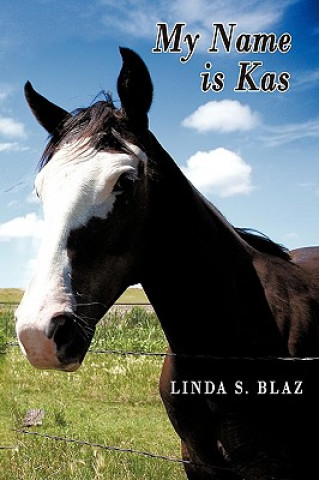 Könyv My Name is Kas Linda S Blaz