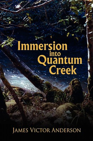 Buch Immersion into Quantum Creek James Victor Anderson