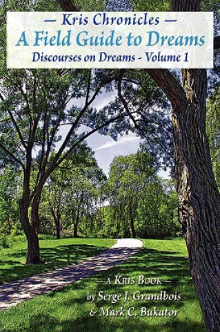 Kniha Discourses on Dreams Serge Grandbois