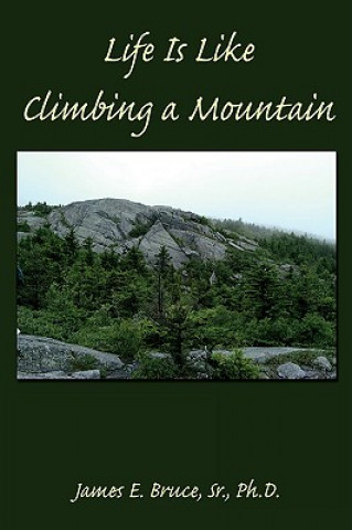 Livre Life Is Like Climbing a Mountain James E Bruce Sr Ph D