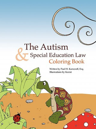 Kniha Autism & Special Education Law Coloring Book Paul H Kamoroff Esq