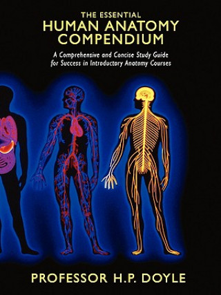 Kniha Essential Human Anatomy Compendium Professor H P Doyle