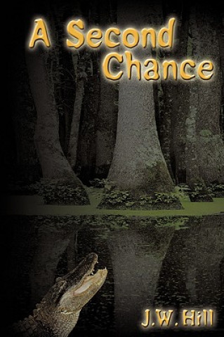 Книга Second Chance J W Hill