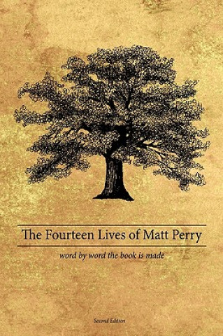 Kniha Fourteen Lives of Matt Perry Perry