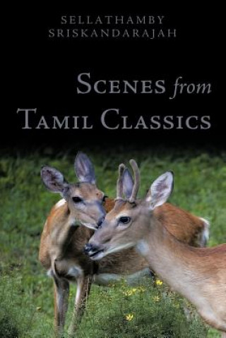 Kniha Scenes from Tamil Classics Sellathamby Sriskandarajah