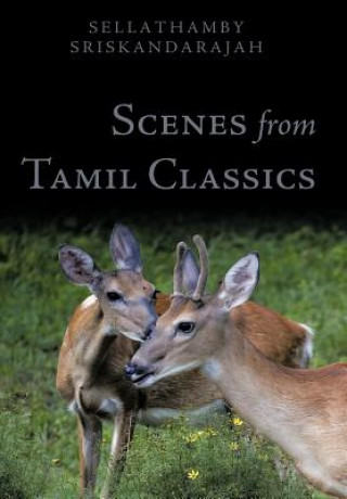 Libro Scenes From Tamil Classics Sellathamby Sriskandarajah
