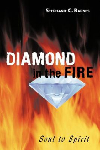 Kniha Diamond in the Fire Stephanie C Barnes