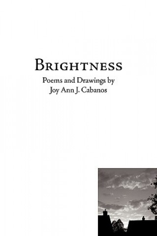 Knjiga Brightness Joy Ann J Cabanos