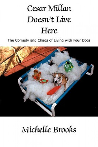 Книга Cesar Millan Doesn't Live Here Michelle Brooks