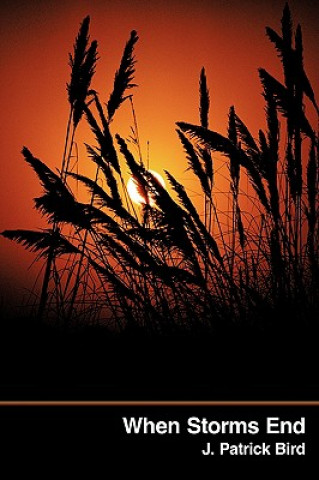 Knjiga When Storms End J Patrick Bird