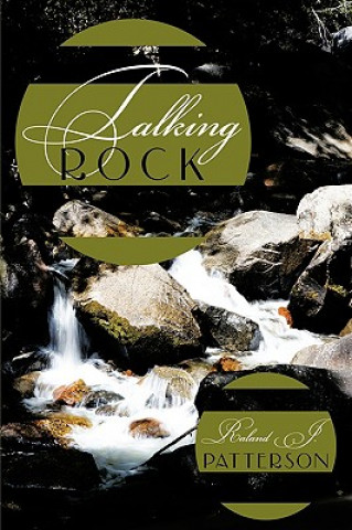 Buch Talking Rock Raland J Patterson