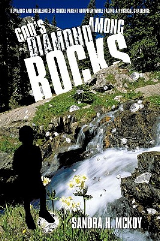 Book God's Diamond Among Rocks Sandra H McKoy