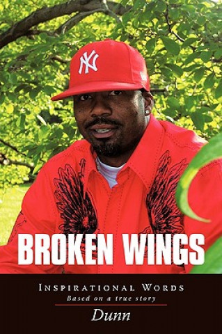 Kniha Broken Wings Anderson Dunn