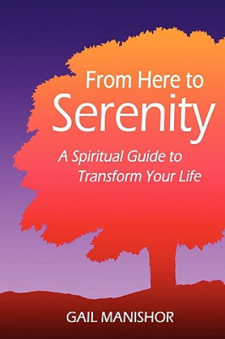 Livre From Here To Serenity Gail Manishor