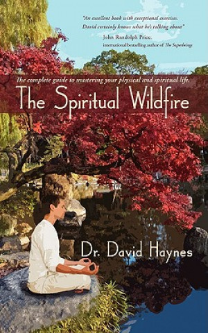 Kniha Spiritual Wildfire Dr David Haynes