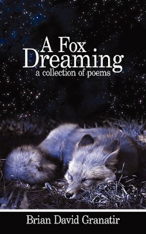 Książka Fox Dreaming Brian David Granatir