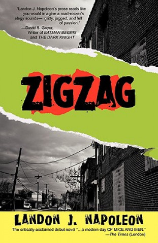 Knjiga ZigZag Landon J Napoleon