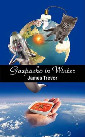 Kniha Gazpacho in Winter James Trevor