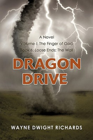 Könyv Dragon Drive Volume I Dr Wayne Dwight Richards
