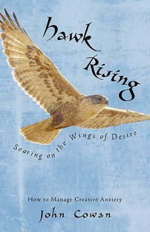 Buch Hawk Rising John Cowan