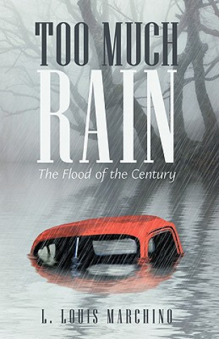 Buch Too Much Rain L Louis Marchino