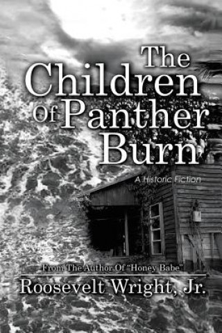 Książka Children of Panther Burn Wright