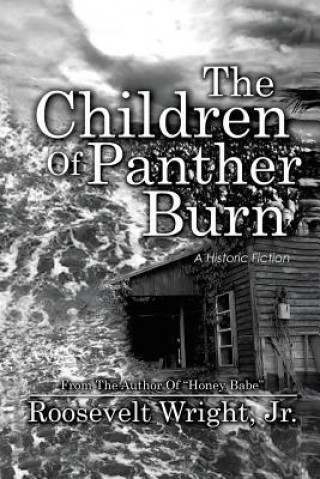 Kniha Children of Panther Burn Wright