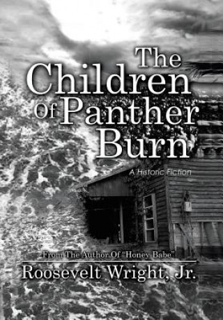 Könyv Children of Panther Burn Wright