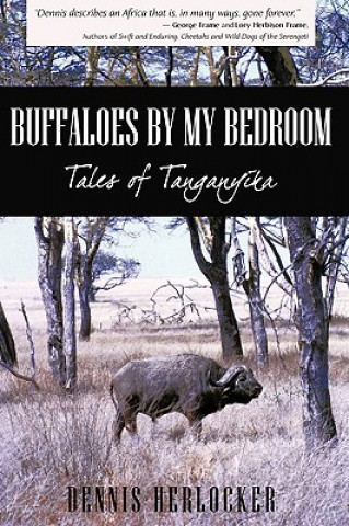 Βιβλίο Buffaloes by My Bedroom Dennis Herlocker