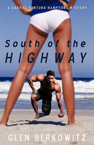 Livre South of the Highway Glen Berkowitz