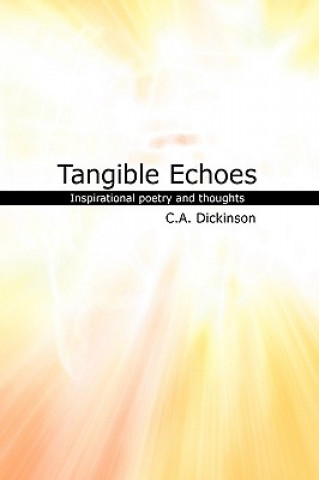 Buch Tangible Echoes C a Dickinson
