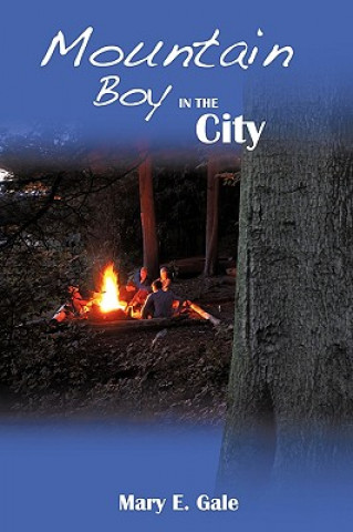 Buch Mountain Boy in the City Mary E Gale